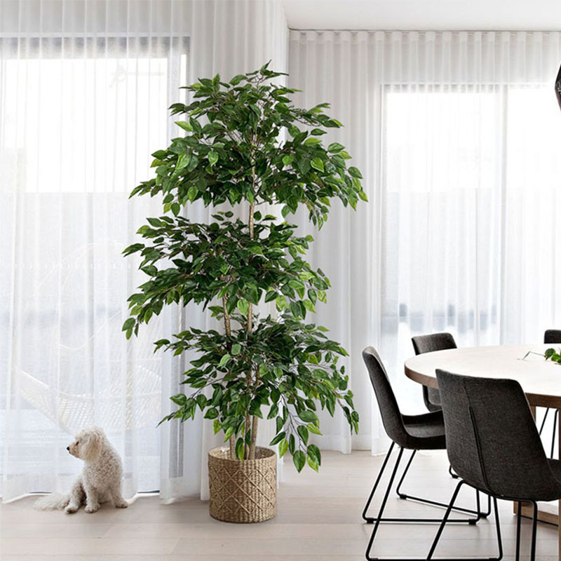 Ficus Lyrata Tree - 70in Ficus Artificial Tree Large Tropical