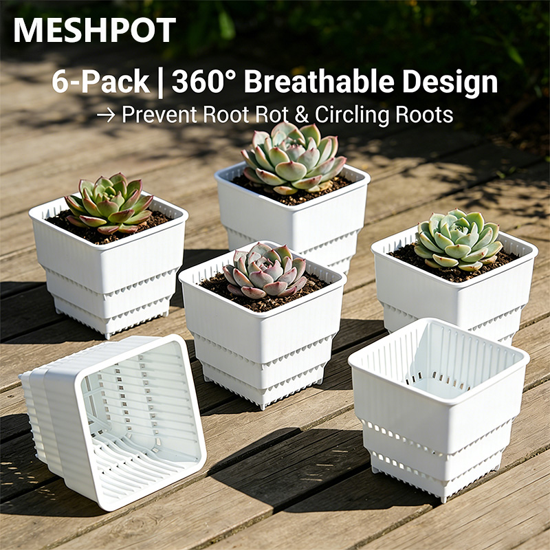 MESHPOT 6-Pack Square Pots for - Echeveria Succulent recension och pris
